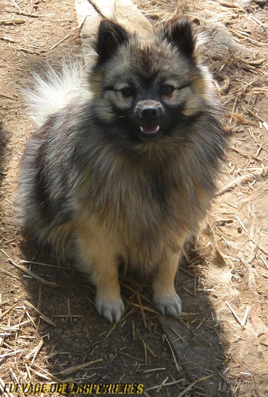 Loona De Laspeyrières